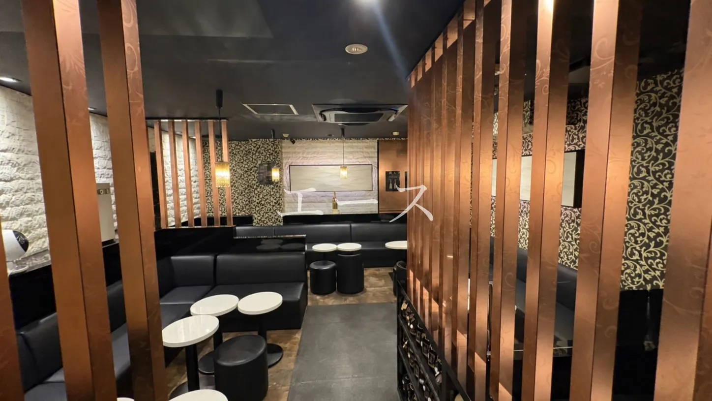 神田　エース （美熟女A 神田駅西口駅前店）