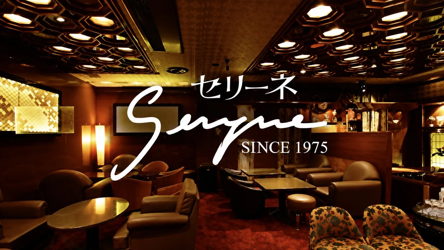 六本木 クラブ セリーネ （SERYNE）